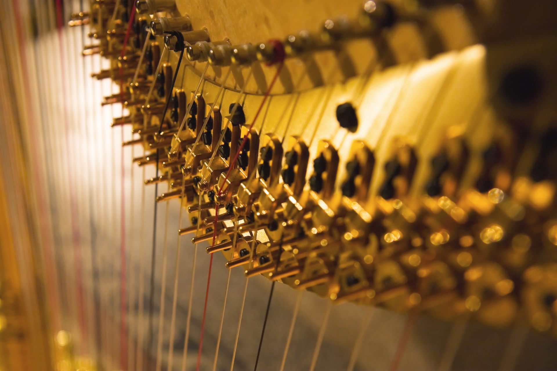 Golden harp tuning pins in close-up