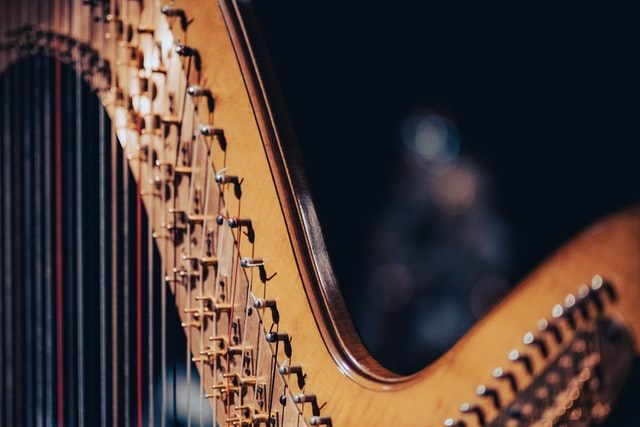 Close-up of a harp's carved neck and strings