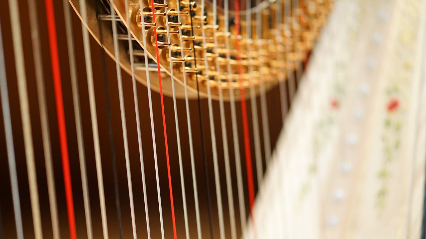Colourful painted harp soundboard